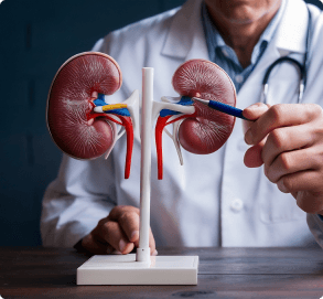 Urology consultation