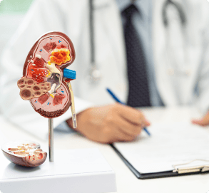 Nephrology consultation